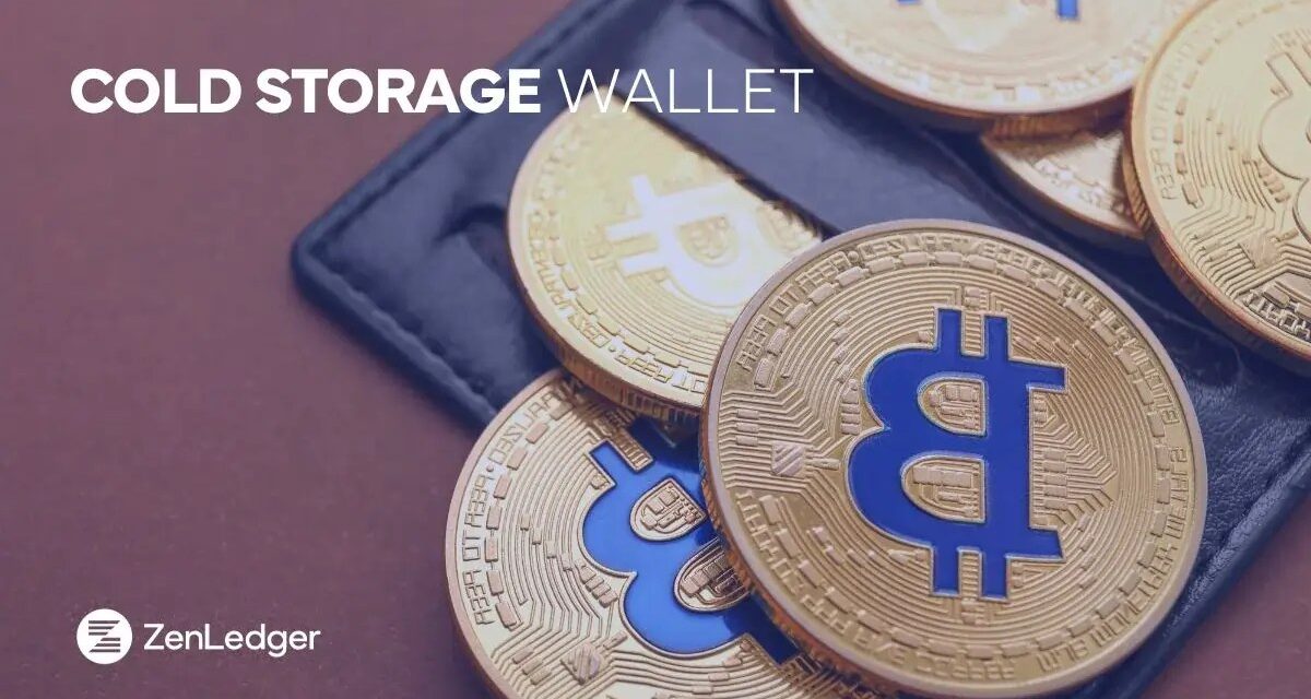 6 Best Cold Storage Wallets for Crypto Security in 2025