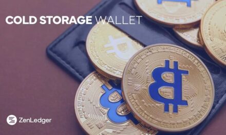 6 Best Cold Storage Wallets for Crypto Security in 2025