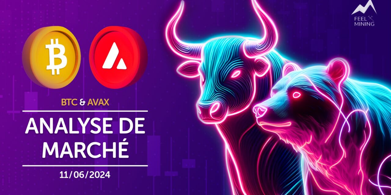 Market analysis: 06/11/2024 – feel the exploitation