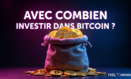 How much to invest in Bitcoin ?