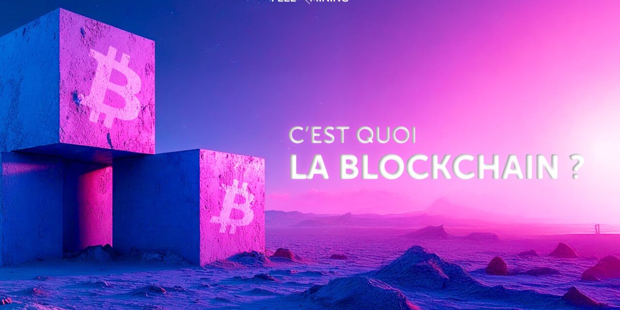 Understand the blockchain: a digital revolution