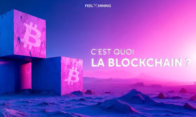 Understand the blockchain: a digital revolution