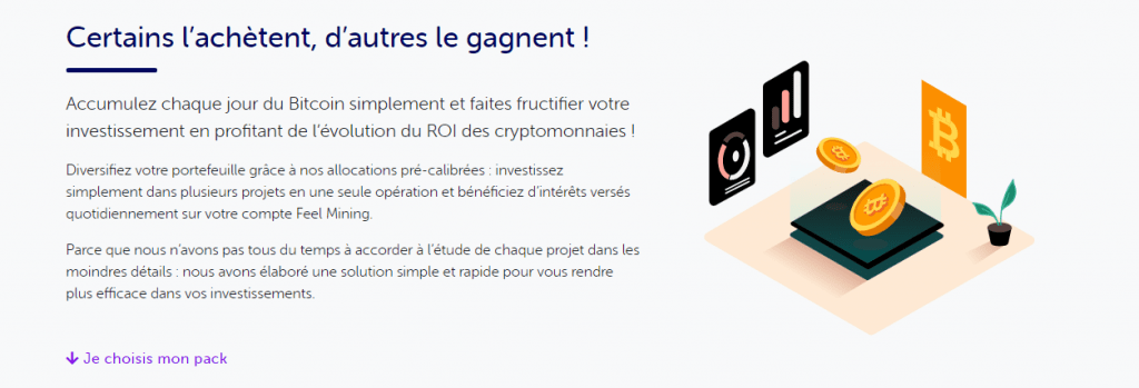 Screp-Page-Pack-Investment