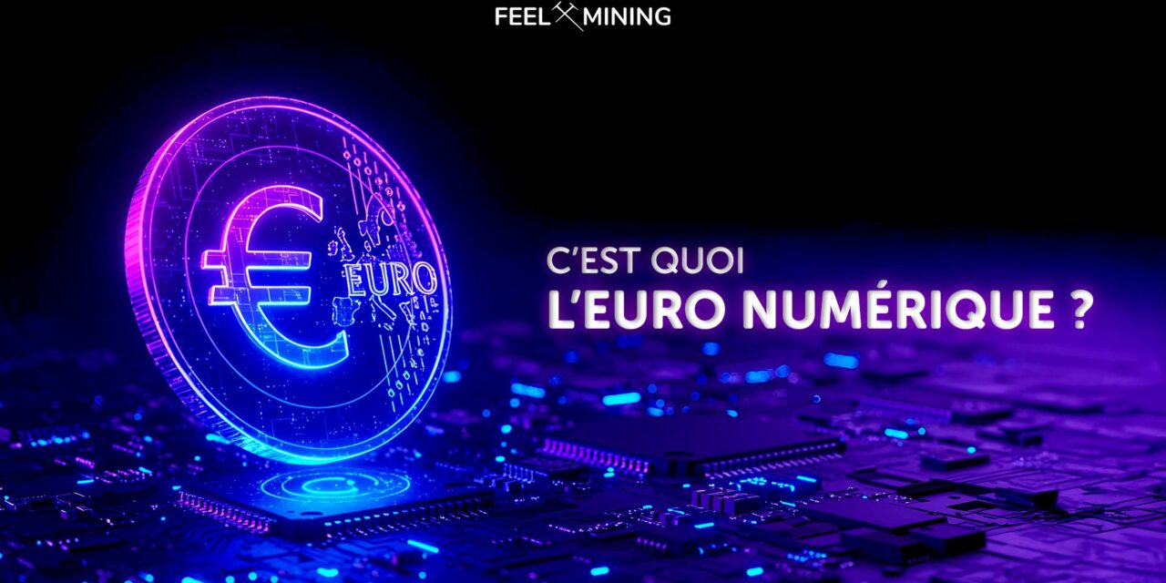 What is the digital 0s (MNBC) ?