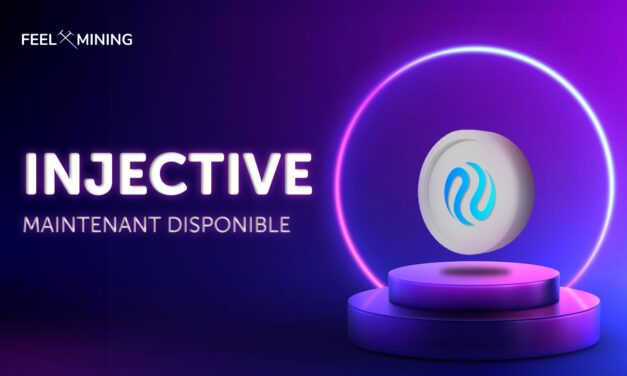 Injective (INJ): The project to add to the project!