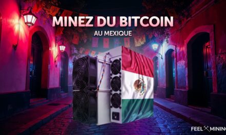Mining farm in Mexico