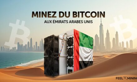 Mining farm in the United Arab Emirates