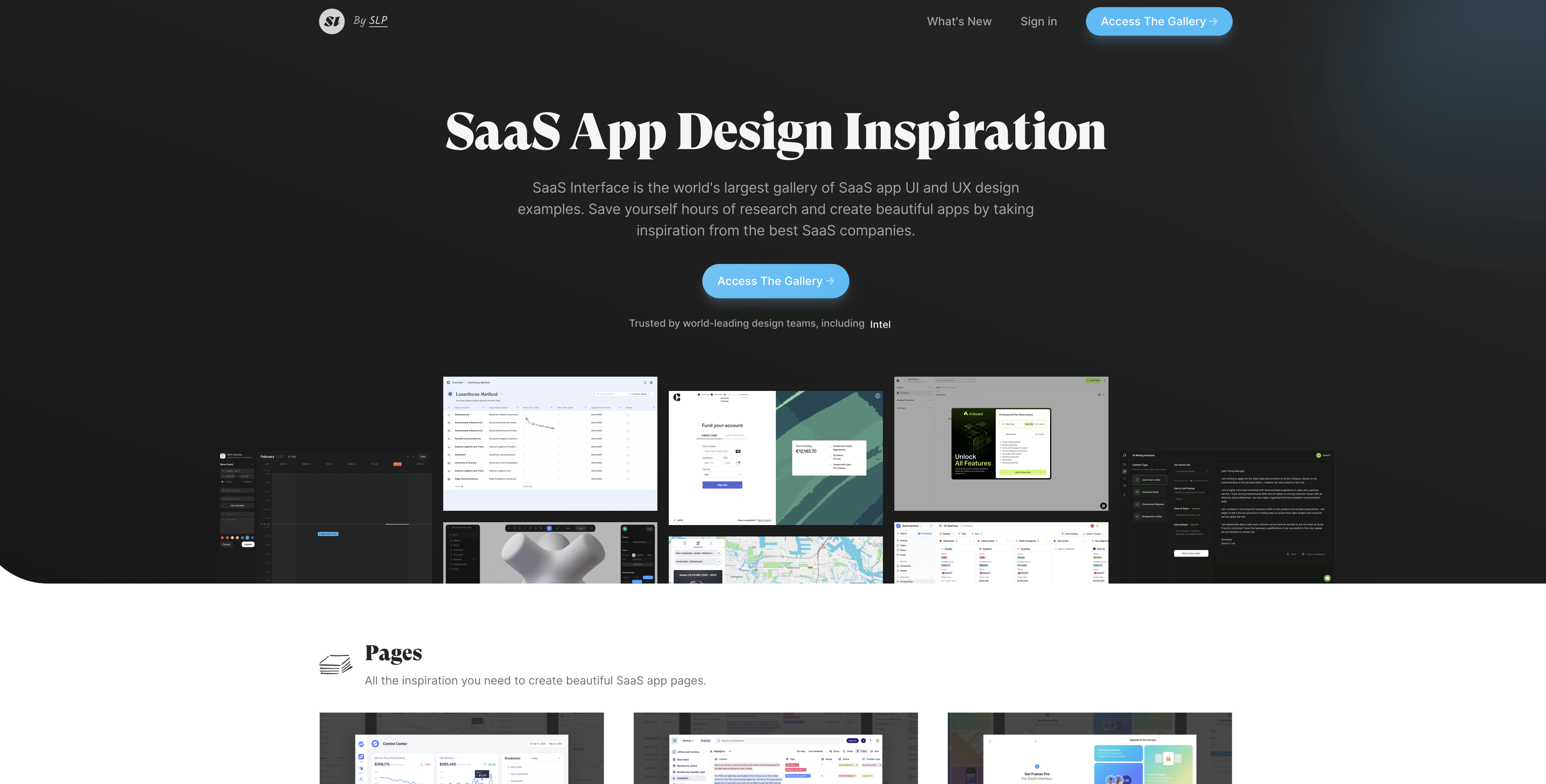 SaaSinterface-Webdesign-Inpiration