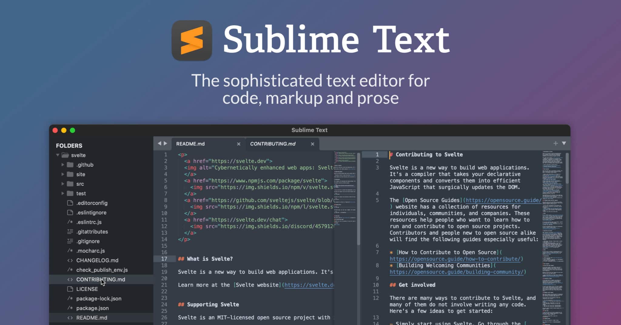 SUBLIME-TEXT-IDEA