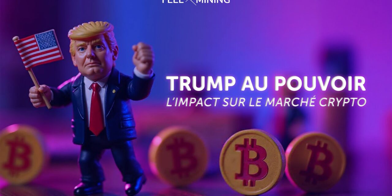 Donald Trump Back: What impact on cryptos ?