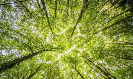 UX and climate change