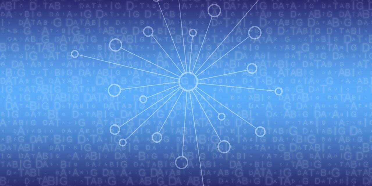 Data management definition