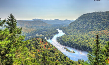 Explore Quebec: The best activities to do with the family this summer