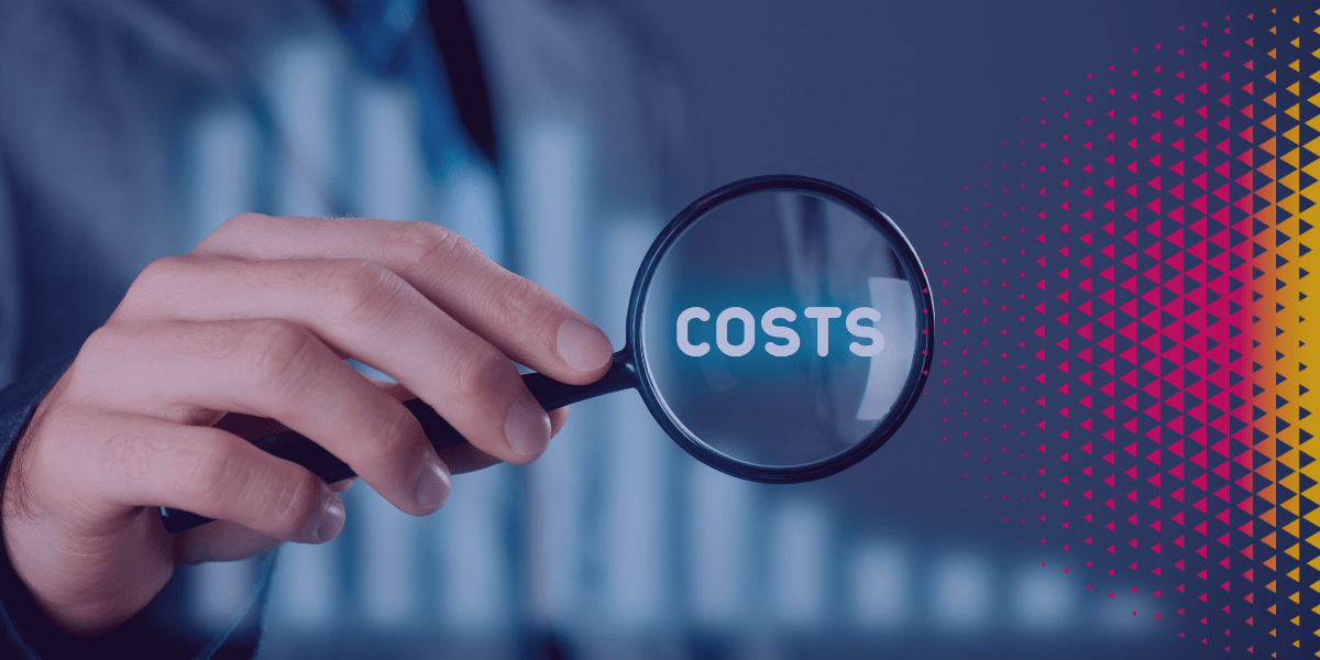 DSI: How to optimize costs when setting up new products and services?