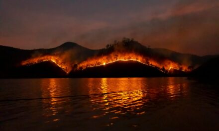 Fire insurance Los Angeles lessons