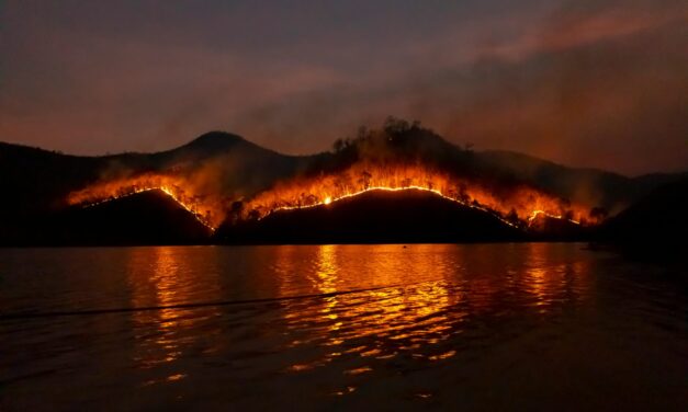 Fire insurance Los Angeles lessons