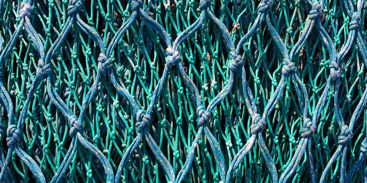 SEO Off-Page: the 3 criteria to be taken into account in 2024