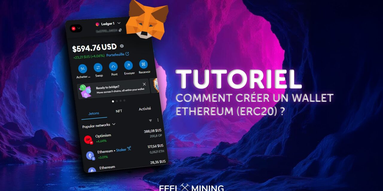 Create and Wallet Ethereum ERC-20 comment on Metamask