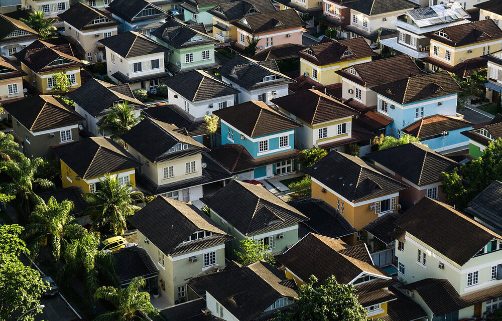 Customer innovation : AI cats in the real estate industry