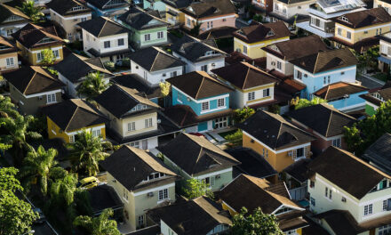 Customer innovation : AI cats in the real estate industry