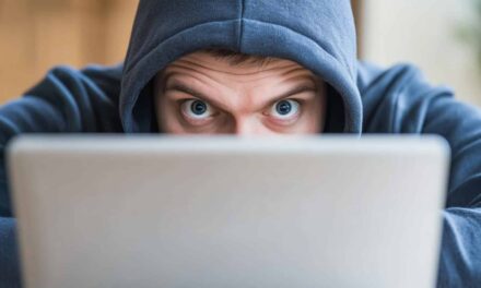 Why SMEs are privileged objectives of computer pirates