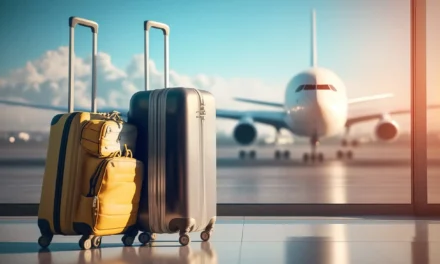 Expatriate, my children are studying in France : insurance?