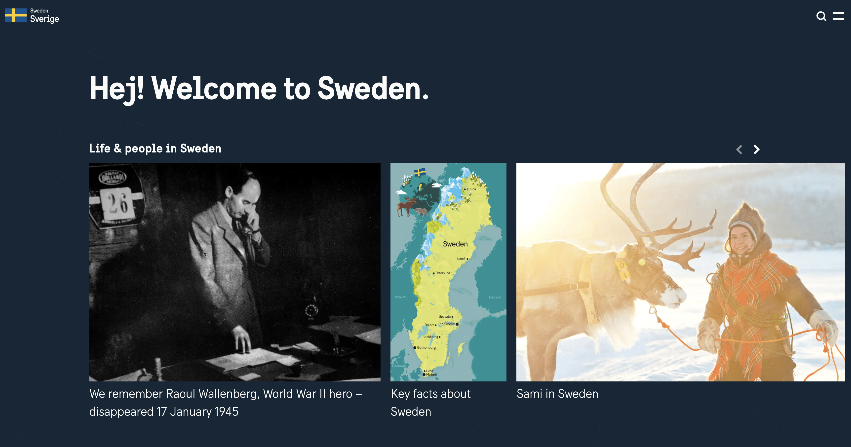 suede-wordpress