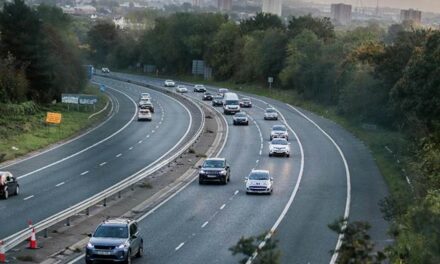 Minimum Speed ​​on the Self -Estradated: Rules and Penalties